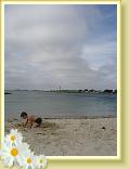 DSC03761
