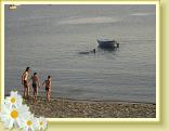 DSC04022