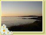 DSC04029