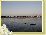 DSC04031