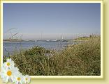 DSC04037