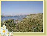 DSC04038