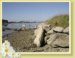 DSC04040