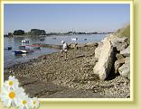 DSC04041
