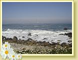 DSC04046