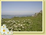 DSC04048