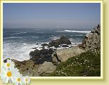 DSC04050