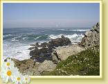 DSC04051