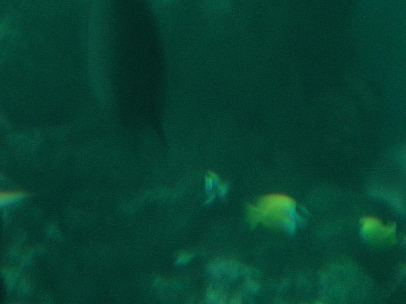 DSC03901