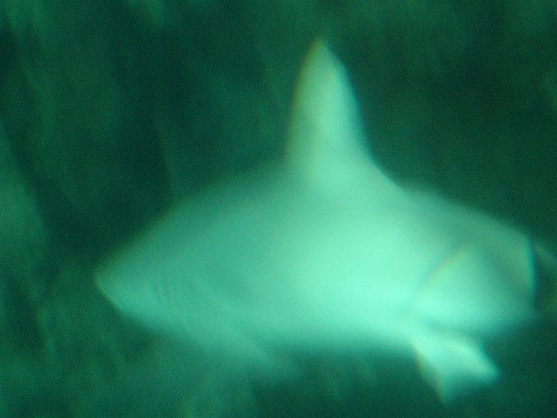 DSC03902