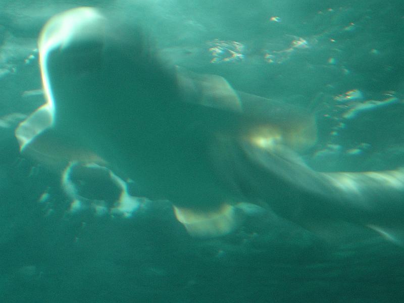 DSC03903