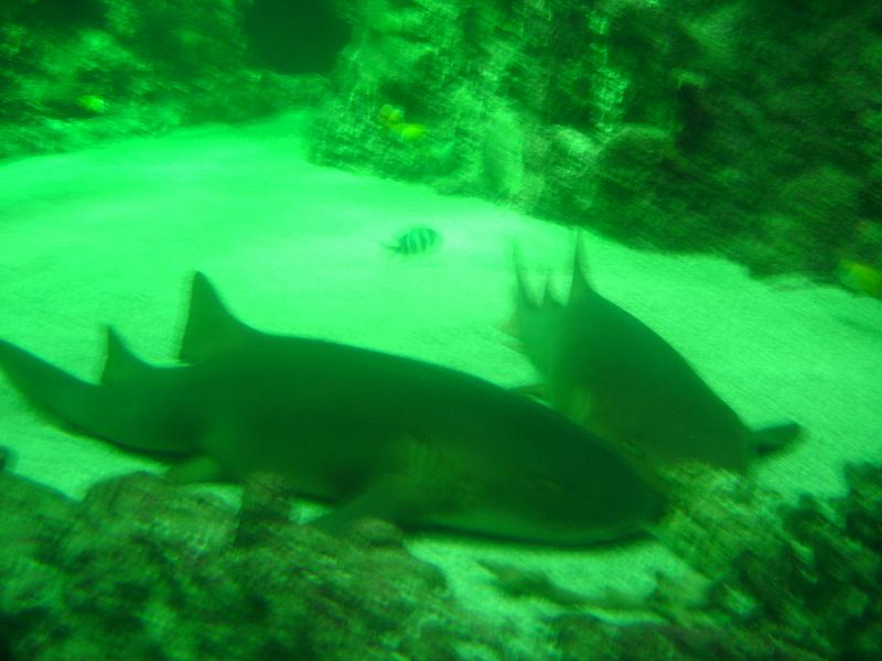DSC03905