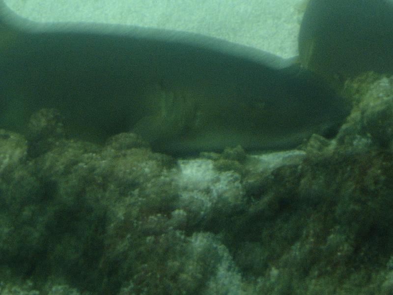 DSC03907