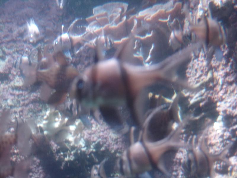 DSC03931