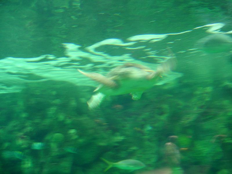 DSC03937