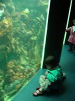 DSC03863