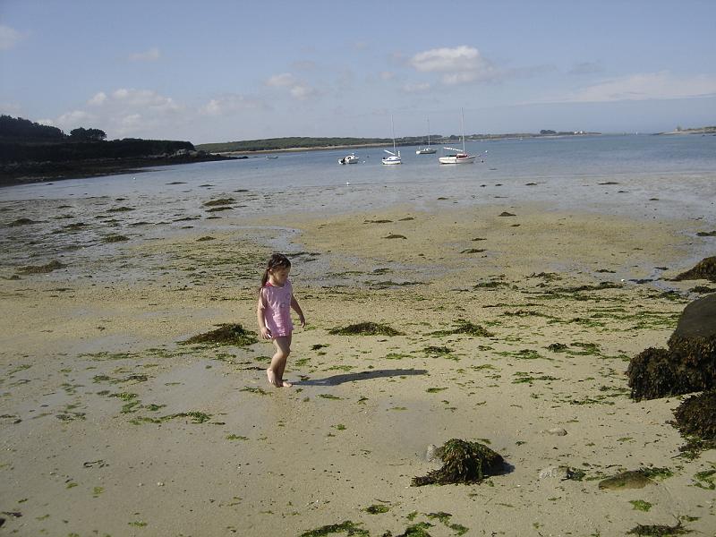 DSC05485
