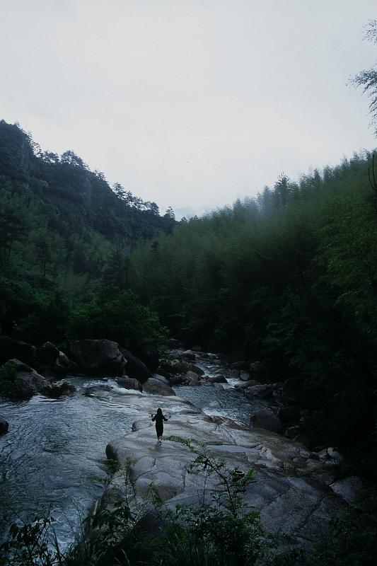 bimg010_3