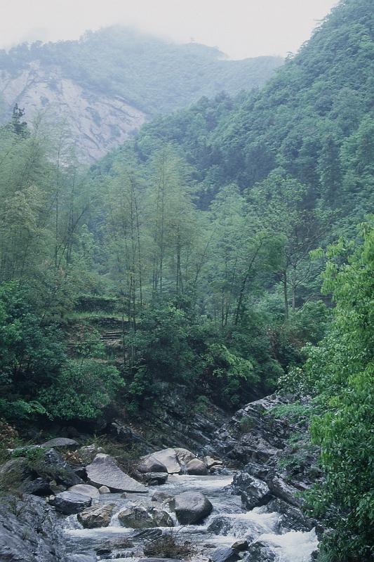 bimg018_3