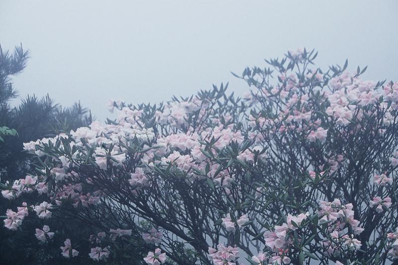cimg008