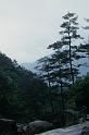 bimg009_3
