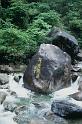bimg015_3