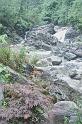 bimg019_3