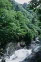 bimg022_3