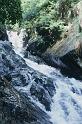bimg033_3