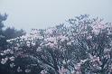 cimg008