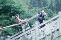 aimg012_2