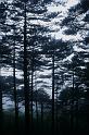 aimg038_2