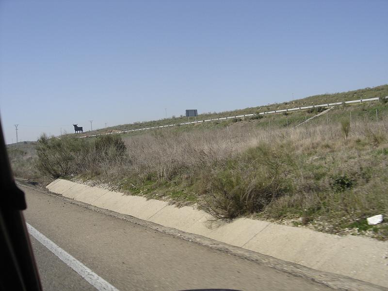 DSC04503