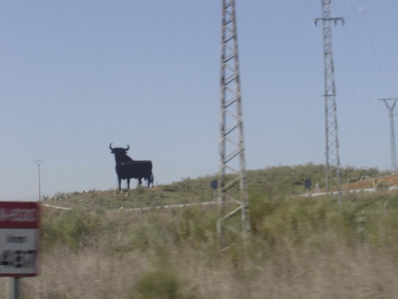 DSC04505
