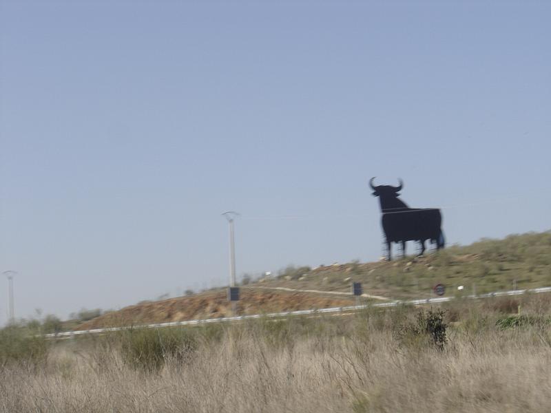 DSC04506