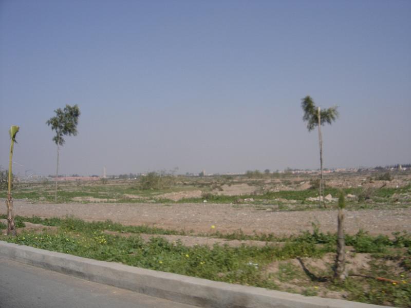 DSC04525
