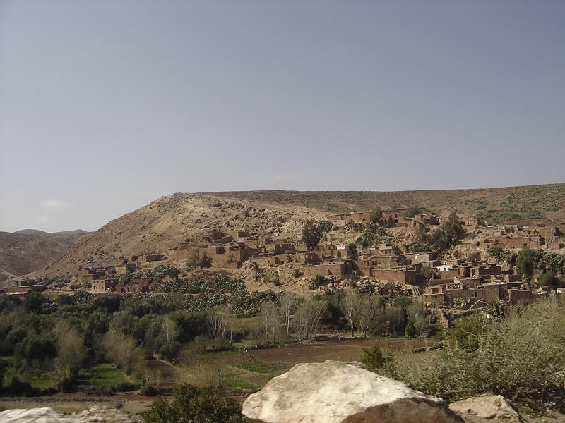DSC04526