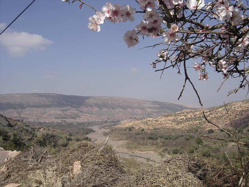 DSC04534