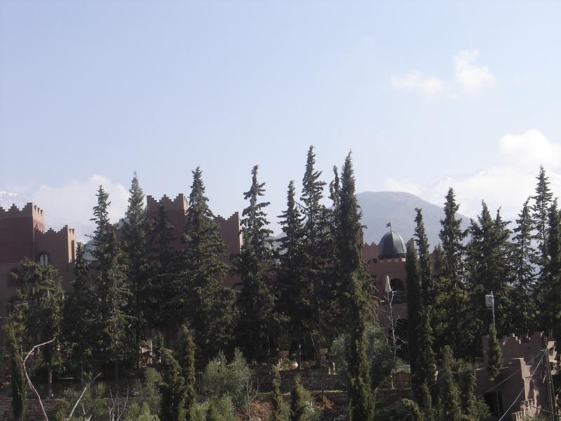 DSC04535