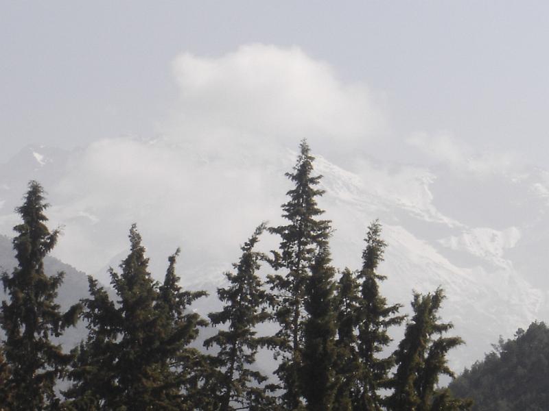 DSC04538