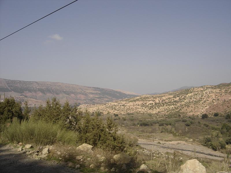 DSC04539