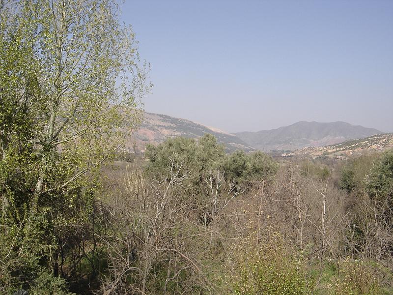 DSC04541