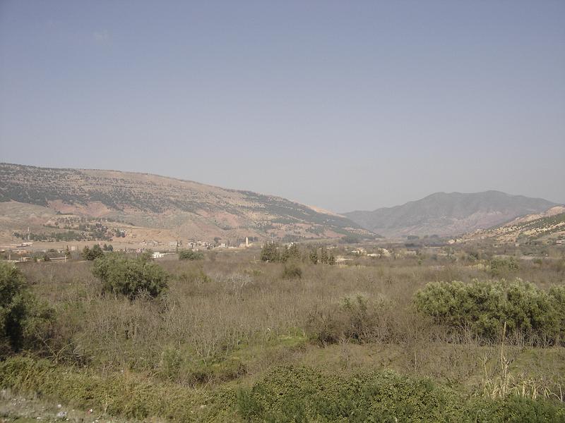 DSC04543