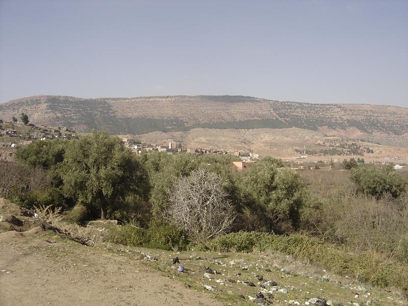 DSC04544