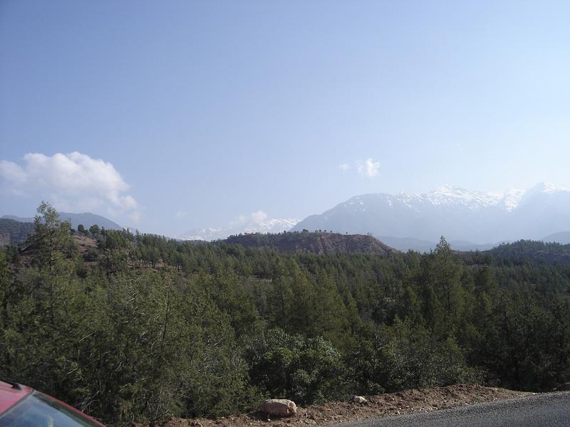 DSC04559