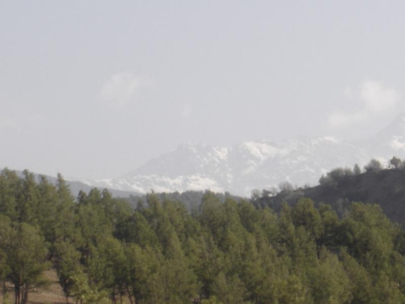DSC04561