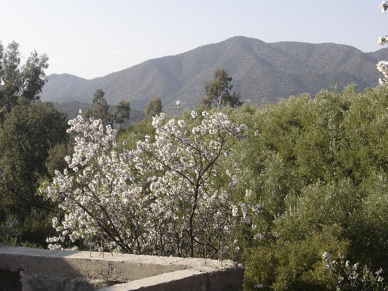 DSC04562