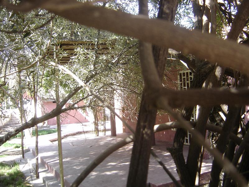 DSC04578