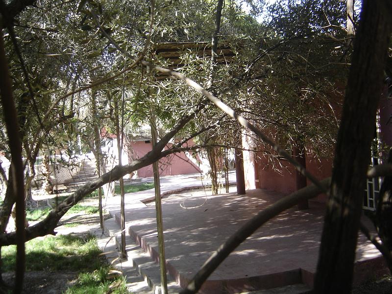 DSC04582
