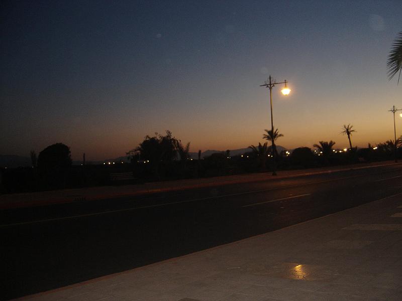 DSC04595